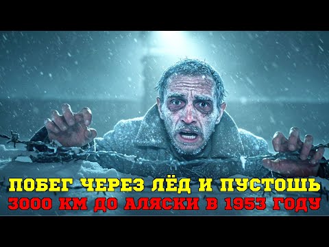 Видео: Попытка бегства через Чукотку к Аляске в 1953 году