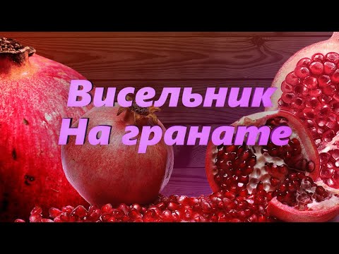 Видео: Настойка на Гранате. Рецепт Висельника в домашних условиях