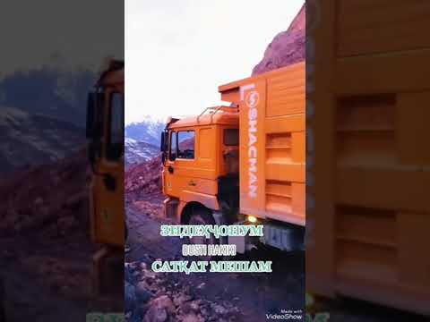 Видео: 1 декабря 2024 г.