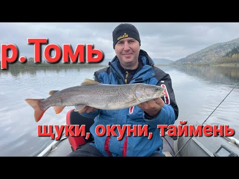 Видео: Таймень и окуни на джиг. Тестирование новых спиннингов МАГНУМ (Олта).