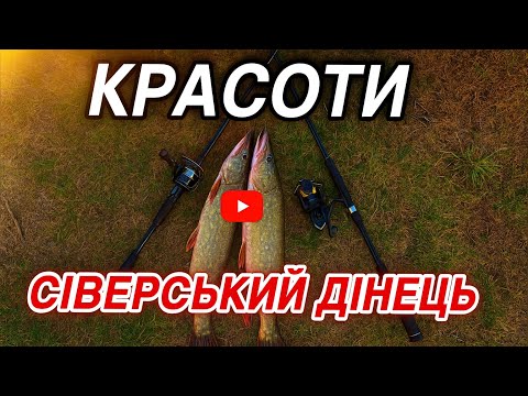 Видео: Щука на воблеры, не всегда осень приносит кучу щук! Пейзажи реки Северский донец