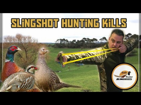 Видео: Охота на фазана и куропатки с рогаткой