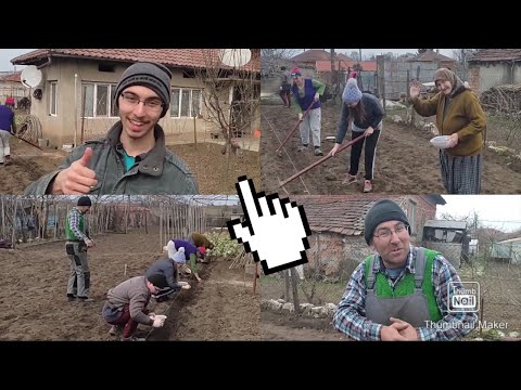 Видео: Ръчен Трактор 40 коня?! #ръчен трактор #градина #лук