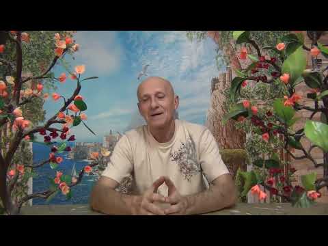 Видео: История о Драконах!