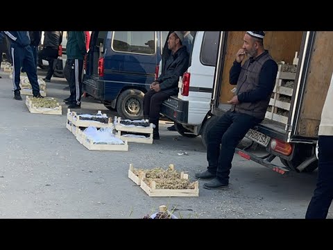 Видео: УЗУМЛАР БУГУН СУСТ СОТИЛЯБДИ Олтиариқ узум бозори