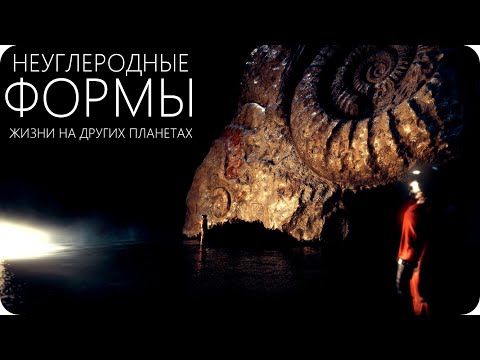 Видео: КАК МОГУТ ВЫГЛЯДЕТЬ ОБИТАТЕЛИ ДРУГИХ ПЛАНЕТ? [Глизе 581 g, Kepler-22 b, Kepler-186 f, Kepler-452 b]