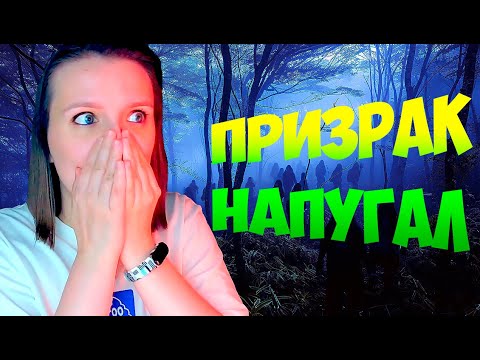 Видео: ФАЗМА МЕНЯ ИСПУГАЛА! ► ФАЗМОФОБИЯ | PHASMOPHOBIA