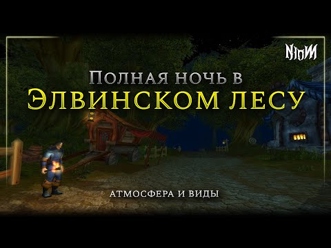 Видео: 🌙Полная ночь в Элвинском лесу | WoW | Атмосфера и виды