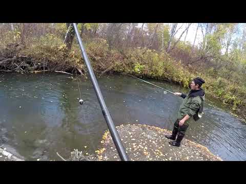 Видео: Ловля - Рыбалка на Хариуса ОСЕНЬ 2018 (малая речка ,,ЛИСТОПАД,,)