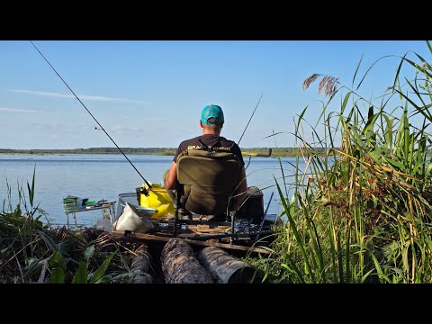 Видео: Осіння риболовля! Де шукати рибу?