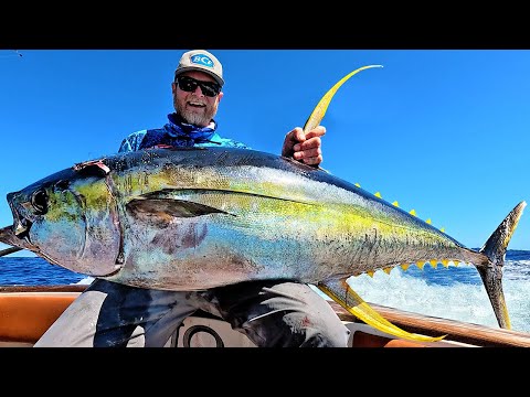 Видео: ФИН-ТАСТИКА!!! Ловля, чистка и «приготовление» одной из самых вкусных рыб в океане!