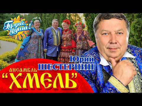 Видео: Юрий Шестернин и ансамбль "ХМЕЛЬ" @Гуляй_душа