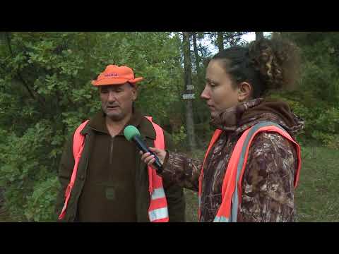 Видео: Лов в дружинка Боримечково / 11.11.2017г.