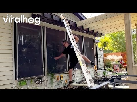 Видео: DIY-проекты, которые пошли не по плану 😭 ViralHog