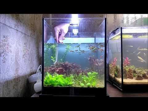 Видео: #Нанокубик_30L на земле. Один год после запуска. Уборка и стрижка растений.