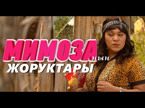 Видео: МИМОЗАНЫН ЖОРУКТАРЫ