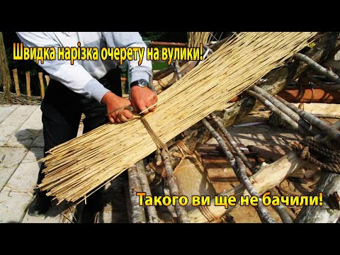 Видео: Нарізка очерету для вулика, РАЗ, ДВА І ВСЕ ГОТОВО.