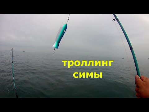 Видео: ТРОЛЛИНГ/СИМА/ПОКЛЁВКА/СЕЗОН 2022г