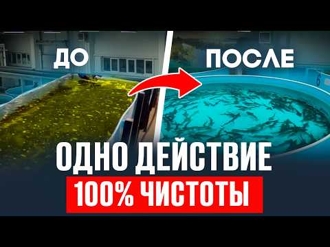 Видео: Вода в УЗВ стала мутной? Срочно сделай ЭТО! / Экстренный ПЛАН СПАСЕНИЯ вашей рыбы за 10 минут