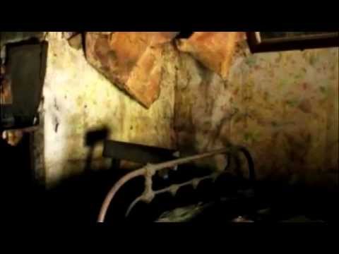 Видео: Две недели спустя ...