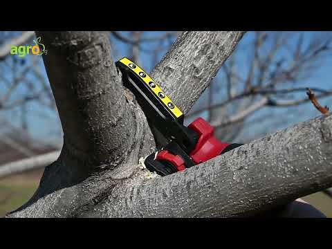 Видео: Зимна резитба на 10-годишни орехови дървета