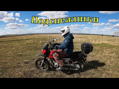 Видео: Bajaj Boxer 150. И зацвёл подснежник! 02.05.2022 г.