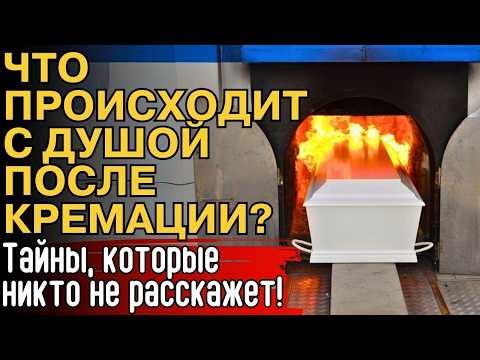 Видео: Что Происходит С Душой, Если Тело Кремируют