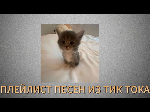 Видео: Плейлист популярных песен из тик тока//Хиты тик тока 2024