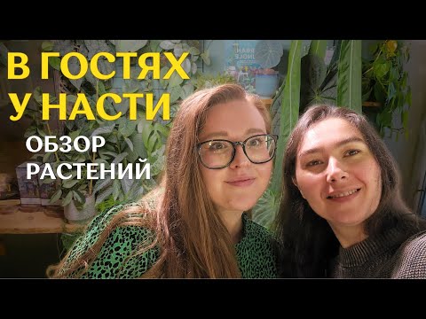 Видео: ЯРКИЙ, стильный ИНТЕРЬЕР с БОЛЬШОЙ коллекцией РАСТЕНИЙ |  в гостях У АНАСТАСИИ ✨