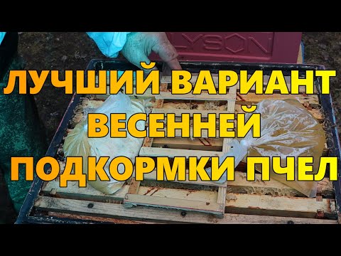 Видео: Лучший вариант весенней подкормки пчел.