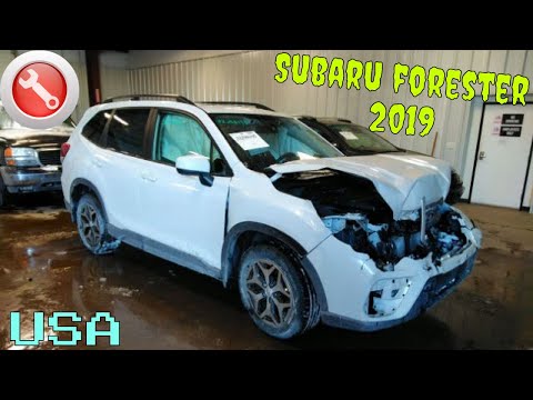 Видео: Subaru Forester 2019 Получила по передку