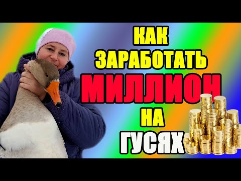 Видео: Как заработать МИЛЛИОН на гусях. Реальная история.