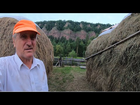Видео: Цветник, лесная кормушка и соломат