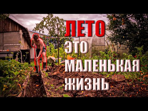 Видео: Лето - это маленькая жизнь.  Вернулся в детство.