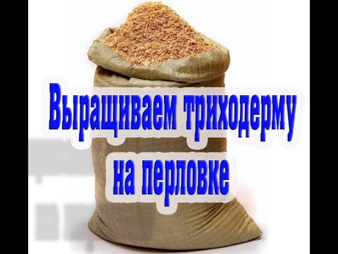 Видео: Как вырастить триходерму на перловой крупе, один из способов.