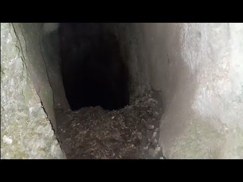 Видео: РИМСКА,БАНКА,ХАЗНА,МОНЕТЕН ДВОР @top-roskata