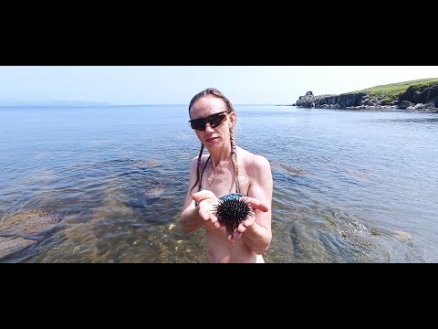 Видео: Мотопутешествие Владивосток - Тюмень - Владивосток 2022. Эпизод третий