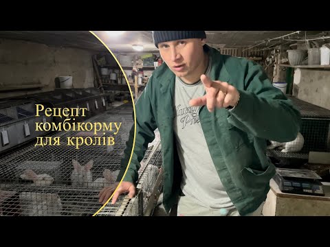 Видео: ЯК ЗРОБИТИ КОМБІКОРМ В ДОМА? ПЕРЕВІРЕНИЙ РЕЦЕПТ КОМБІКОРМУ НА ВЛАСНИХ КРОЛЯХ РОСТУТЬ ЯК ГРИБИ❓