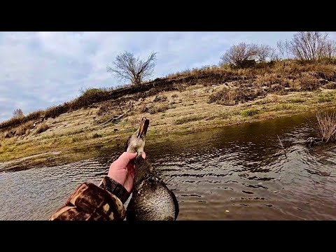 Видео: Охота на северную утку. Рыбалка на сети. Крайний Север.