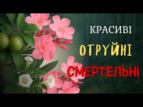 Видео: ТОП 10 Найнебезпечніших рослин в світі 🌍 Про які маєте знати КОЖЕН!