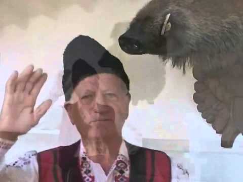 Видео: Георги Димов - Димитър дума Вълкана