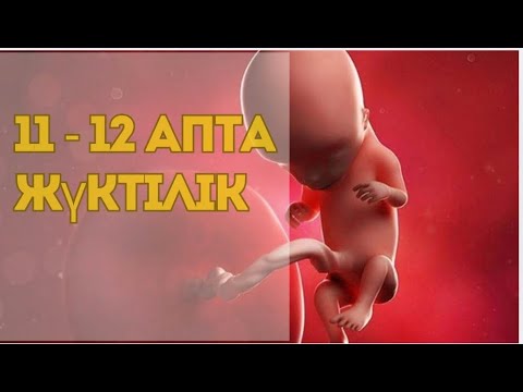 Видео: 11-12 апталық жүктілік: Білетін Уақыт!