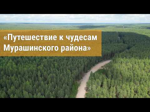 Видео: "Путешествие к чудесам Мурашинского района"