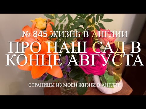 Видео: Про наш сад в конце августа. № 845 Жизнь в Англии
