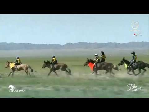 Видео: 2019 оны Говь шанх азарга