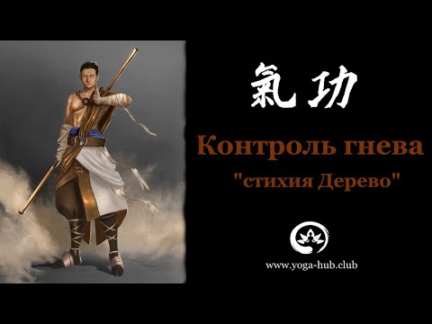 Видео: Цигун: стихия Дерево. Регулирует печень, желчный пузырь и гнев. Пять элементов цигун утром.