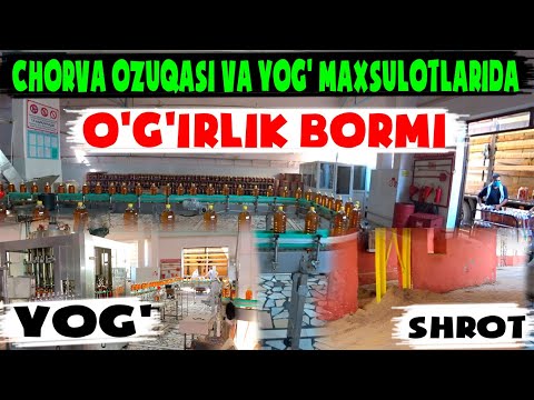 Видео: Урганч Ёғ Мой Заводида суриштирув ишлари олиб борилди.