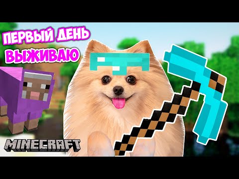 Видео: ПЕРВЫЙ ДЕНЬ В МАЙНКРАФТ ! ВЫЖИВАЮ В МАЙНКРАФТ - СТРОЮ ПЕРВЫЙ ДОМИК | MINECRAFT