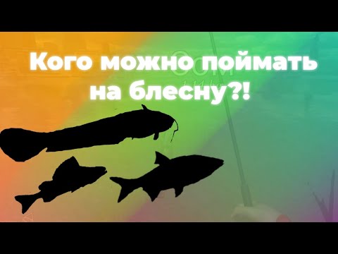 Видео: СОМ и ЯЗЬ на Эльбе!!! | Ultimate Fishing Simulator | Гамбург, Эльба