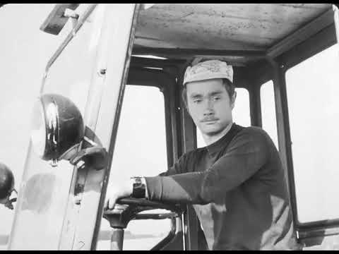 Видео: Семеноводство и технология производства картофеля, 1975
